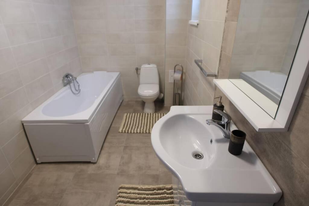 White Gura Humorului, Bucovina, Voronet Apartment